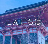 多性别、多语言对话语音采集
