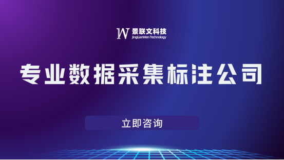 景联文科技：专业数据采集标注公司 ，助力企业提升算法精度！